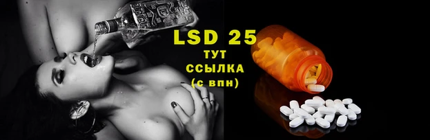 спайс Мегион
