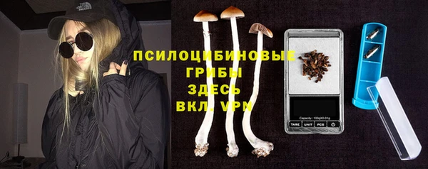 спайс Мегион